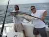 sailfish_11-5-11_002.JPG