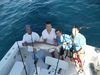 sailfish_11-5-11_005.JPG