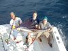 sailfish_11-5-11_010.JPG