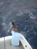 sailfish_9_.jpg