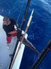 sailfish_chris_2_.jpg