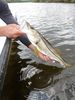 sanibel_2010_mike_12.JPG