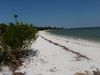 sanibel_2010_shore.JPG