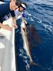 scott-caught-and-tagged-his-first-sailfish.jpg