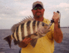 sheepshead-10-pound.gif