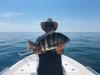 sheepshead_fishing_florida.jpg