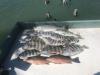 sheepshead_mangrove_snapper_st_pete_beach_tampa_bay_clearwater_fishing_company_2.jpeg