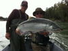 skeena-coho-sep-26_2011.JPG