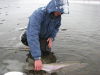 sky-winter-steelhead-fly-fishing800x600.JPG