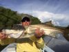 snook_11.jpg