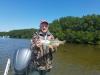 snook_fishing_charter_st_pete_tampa_bay_clearwater_fishing_company.jpeg