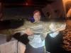 snook_fishing_fort_lauderdale.JPG