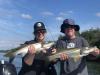 snook_fishing_guide__indian_rocks_beach.JPG