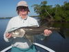 snook_november_2011_001.jpg