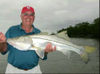 snook_november_bob_2011-2.jpg