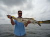 snook_snook_003.JPG