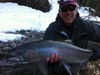 steelhead-apr-14_2012.JPG