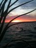 sunrise_on_the_duck_blind.JPG