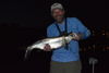 tarpon-at-night.JPG