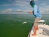 tarpon-fly-fishing-st-pete.jpg