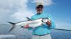 tarpon14.jpg