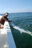 tarpon527_022.jpg