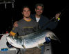 tarpon_011b.jpg