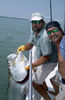 tarpon_4.jpg