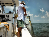 tarpon_fishing_charters_coastal_georgia.png