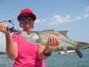 tarpon_snook_010.jpg