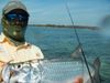 tarponcuba2-691x518.JPG