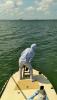 thumbnail_3110.jpg