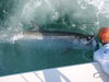 tj_fishing_0061.jpg