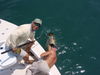 tj_fishing_0132.jpg