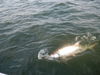 tj_fishing_044.jpg