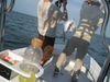tj_fishing_045.jpg