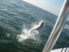 tj_fishing_047.jpg