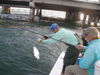 tj_fishing_058.jpg