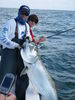 tj_fishing_101.jpg