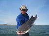 trout_042.jpg