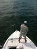 trout_048.jpg