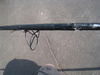 trout_064.jpg