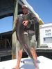 trout_068.jpg