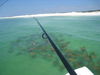 trout_079.jpg