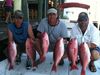 trout_1491.jpg