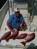 trout_168.jpg