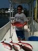 trout_174.jpg