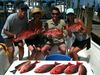 trout_190.jpg