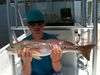 trout_211.jpg