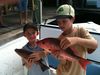 trout_220.jpg